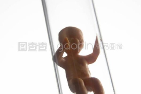 http://shenzhen.nbgk120.com/post/209.html|深圳捐卵费用