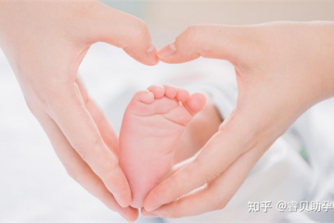 夏天深圳捐卵宝宝发烧 莫要急