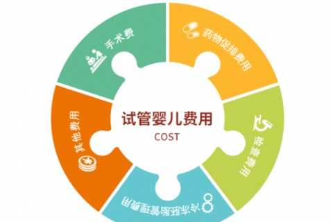 深圳捐卵宝宝肚痛，父母该怎么办？